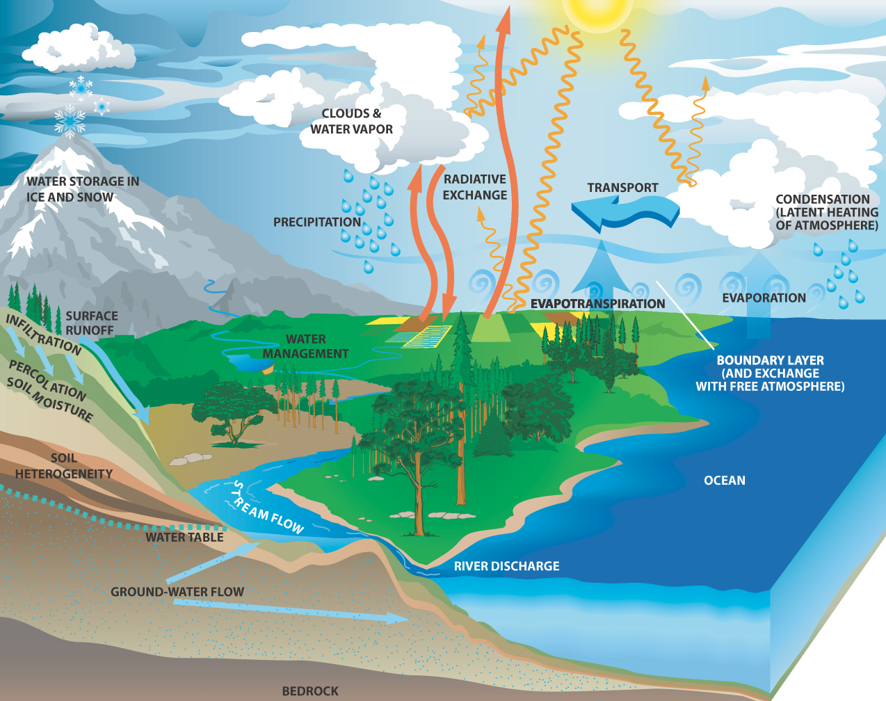 The hydrologic cycle; explanations are contained in the text.