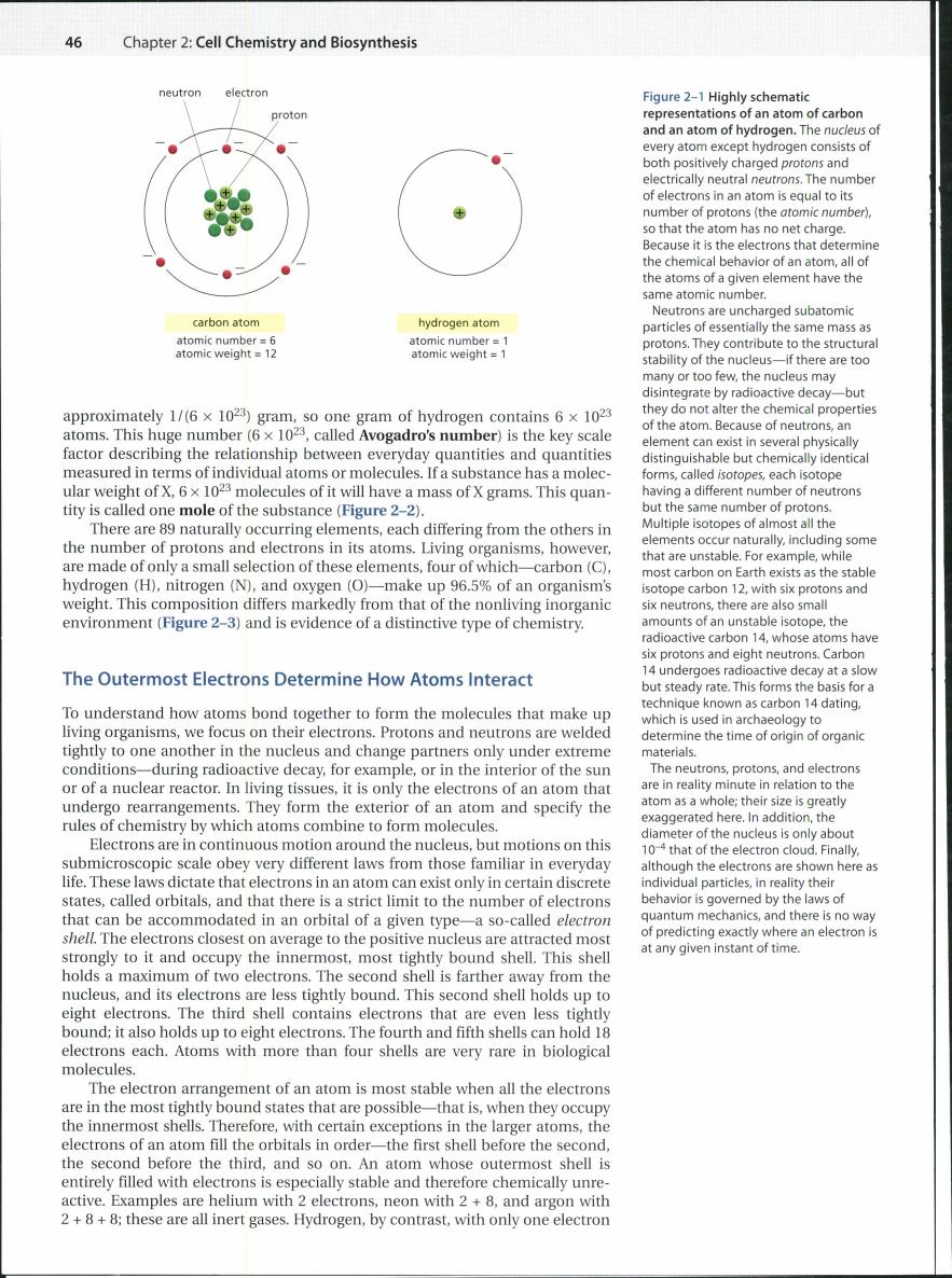 full page with diagram of a carbon atom