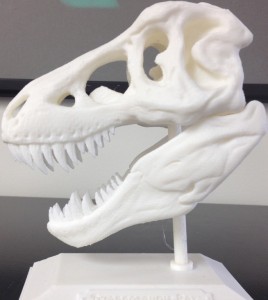 A 3D printed model of a Tyrannosaurus Rex's skull. It is about the size of a grapefruit.