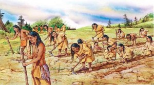 A drawing of Native Americans working in a field making rows for planting crops. 